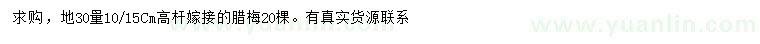 求購30量10-15公分臘梅