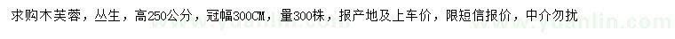 求購(gòu)高250公分木芙蓉