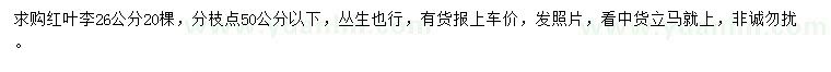 求購(gòu)26公分紅葉李