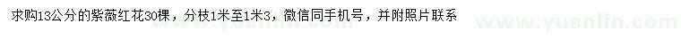 求購13公分紅花紫薇