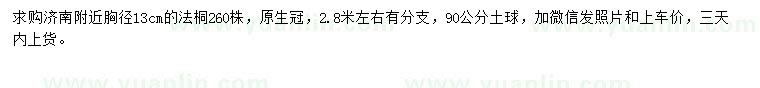 求購胸徑13公分法桐