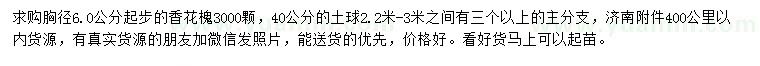 求購(gòu)胸徑6公分以上香花槐