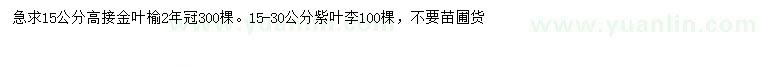 求購15公分金葉榆、15-30公分紫葉李