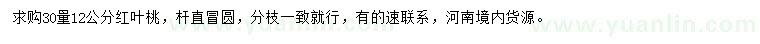 求購30量12公分紅葉桃