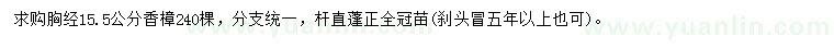 求購(gòu)胸徑15.5公分香樟