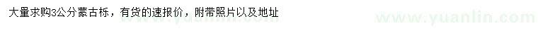 求購3公分蒙古櫟