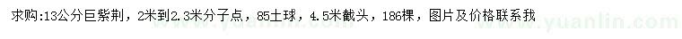 求購13公分巨紫荊