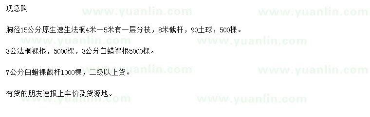 求購(gòu)速生法桐、法桐、速生白蠟