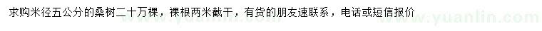 求購米徑5公分桑樹