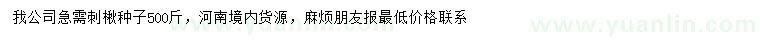 求購刺楸種子
