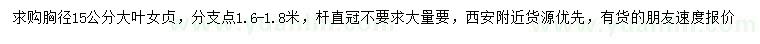 求購胸徑15公分大葉女貞