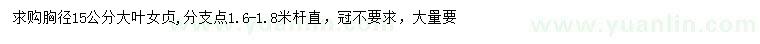 求購胸徑15公分大葉女貞