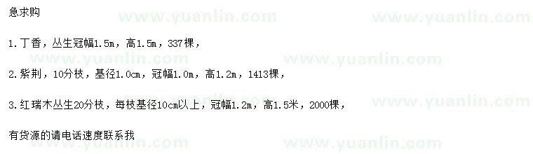 求購(gòu)丁香、紫荊、叢生紅瑞木