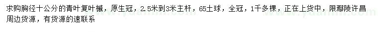 求購胸徑10公分青葉復葉槭