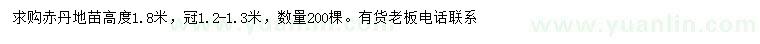 求購高1.8米赤丹