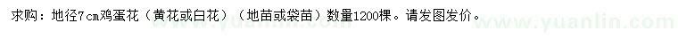 求購(gòu)地徑7公分雞蛋花