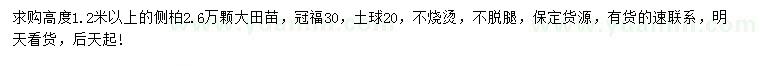 求購高1.2米以上側(cè)柏