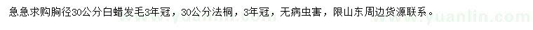 求購胸徑30公分白蠟、法桐