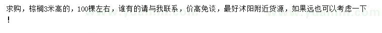求購高3米棕櫚