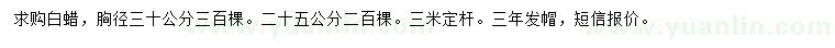 求購(gòu)胸徑25、30公分白蠟