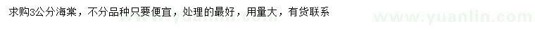 求購3公分海棠