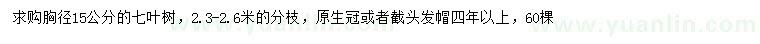 求購胸徑15公分七葉樹