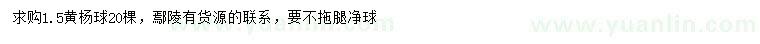 求購(gòu)1.5米黃楊球