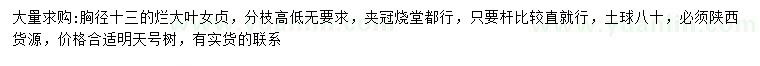 求購胸徑13公分大葉女貞