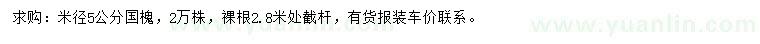 求購米徑5公分國槐