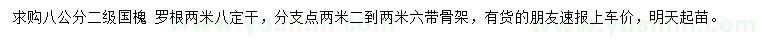 求購8公分國槐