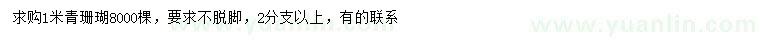 求購(gòu)1米青珊瑚