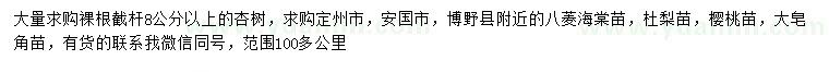 求購杏樹、八菱海棠、杜梨等