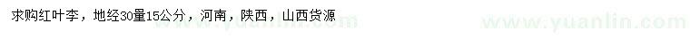 求購30量15公分紅葉李