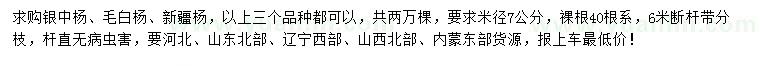 求購銀中楊、毛白楊、新疆楊
