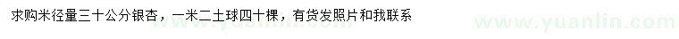 求購(gòu)米徑30公分銀杏