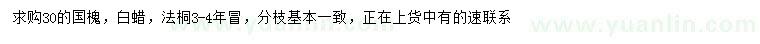 求購國槐、白蠟、法桐