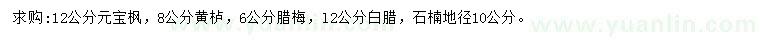 求購(gòu)元寶楓、黃櫨、臘梅等