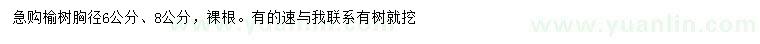 求購(gòu)胸徑6、8公分榆樹
