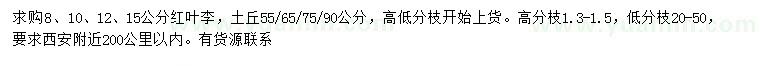 求購(gòu)8、10、12、15公分紅葉李