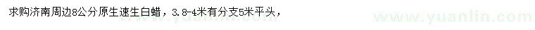 求購8公分原生速生白蠟