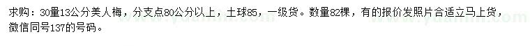 求購13公分美人梅