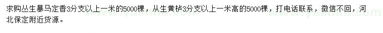 求購(gòu)1米叢生暴馬丁香、叢生黃櫨