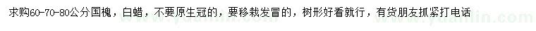 求購60、70、80公分國槐、白蠟