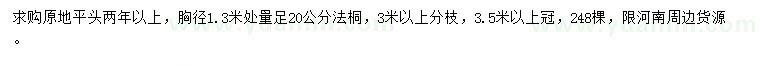 求購(gòu)胸徑1.3米量足20公分法桐