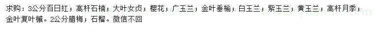 求購百日紅、高桿石楠、大葉女貞等