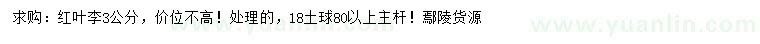 求購3公分紅葉李