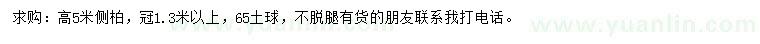 求購(gòu)高5米側(cè)柏