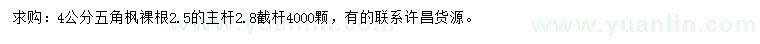 求購(gòu)4公分五角楓