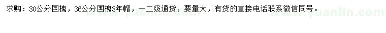 求購30、36公分國槐