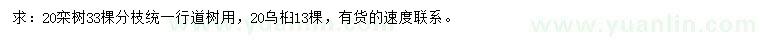 求購20公分欒樹、烏桕